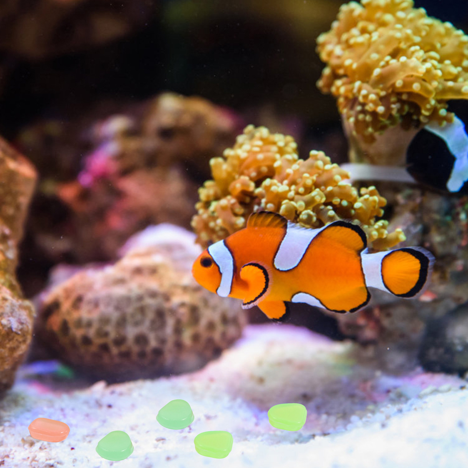400Pcs Glow in The Dark Pebble - Fish Tank Gravel 评论和价格