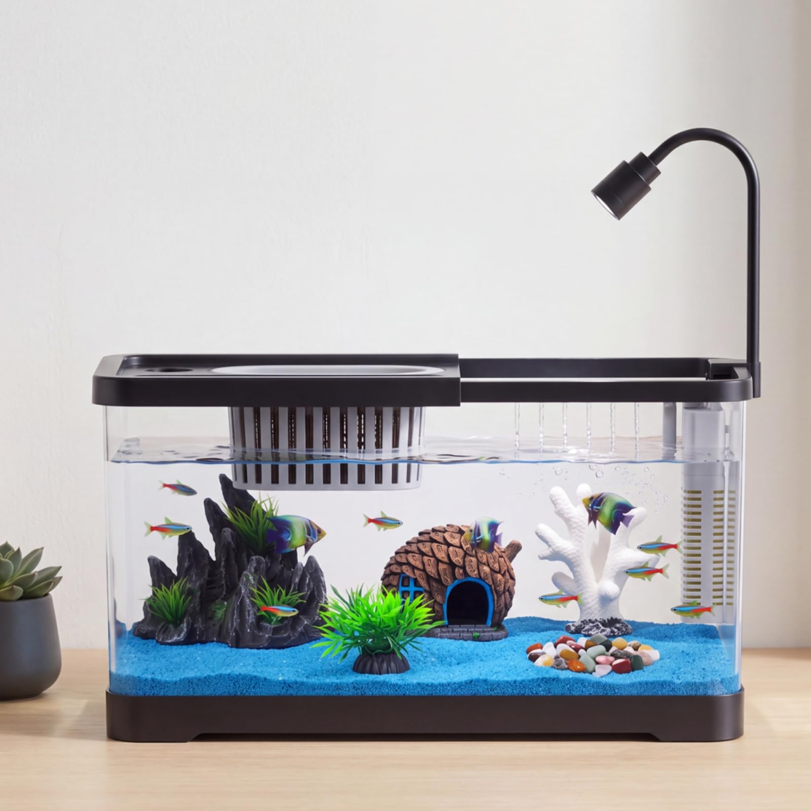 Fish Tank Starter Kit With Fil - Aquarium Fish Betta 评论和价格