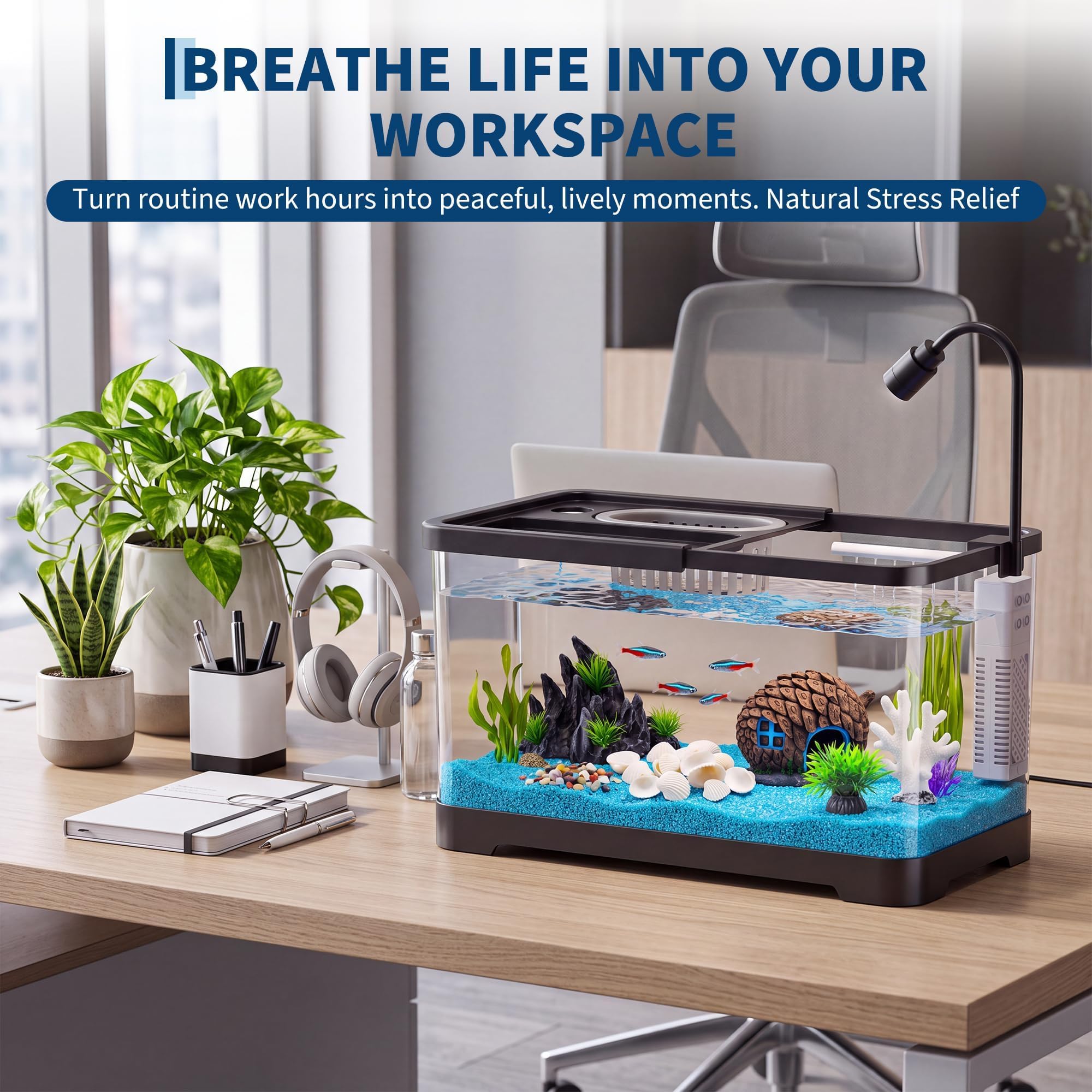 Fish Tank Starter Kit With Fil - Aquarium Fish Betta 评论和价格