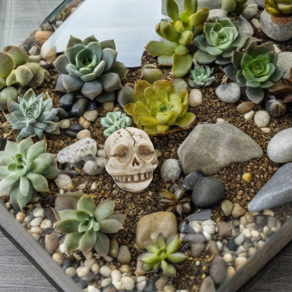 20Pcs Resin Skull Ornament Out - Aquarium Decor 评论和价格