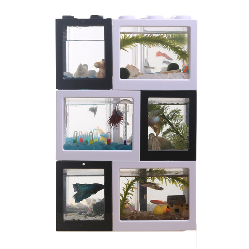 7 Color Mini Aquarium Betta Fi - Aquarium Fish Betta 评论和价格