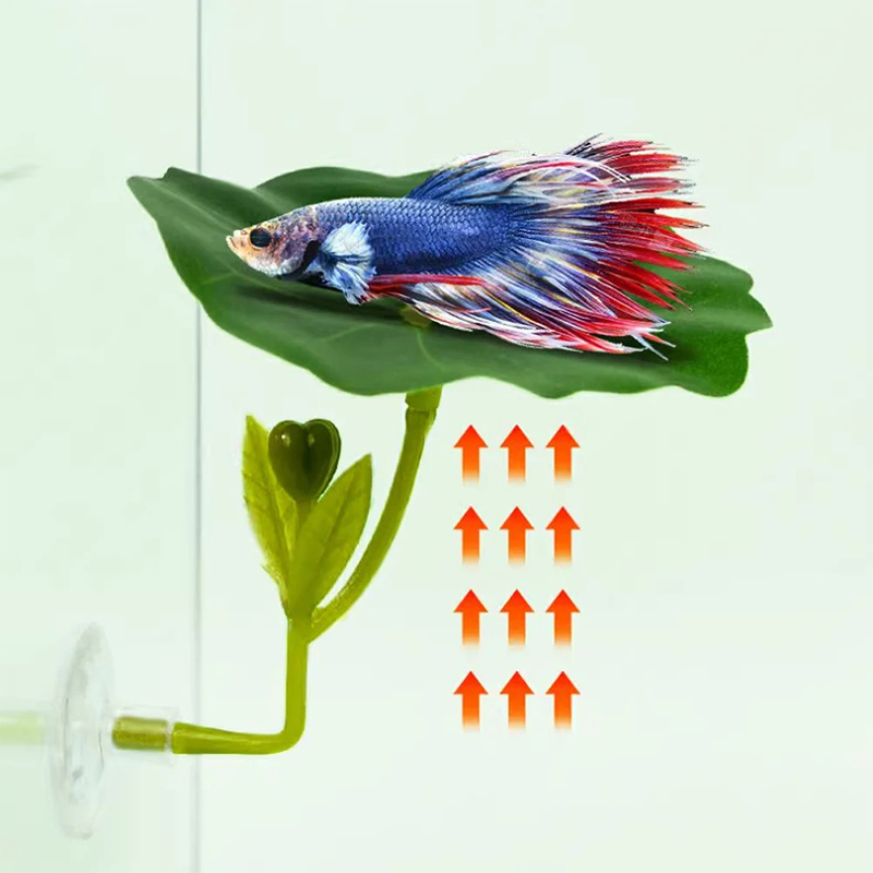 (Ce14)1/5PC Green Leaf Hammock - Aquarium Fish Betta 评论和价格