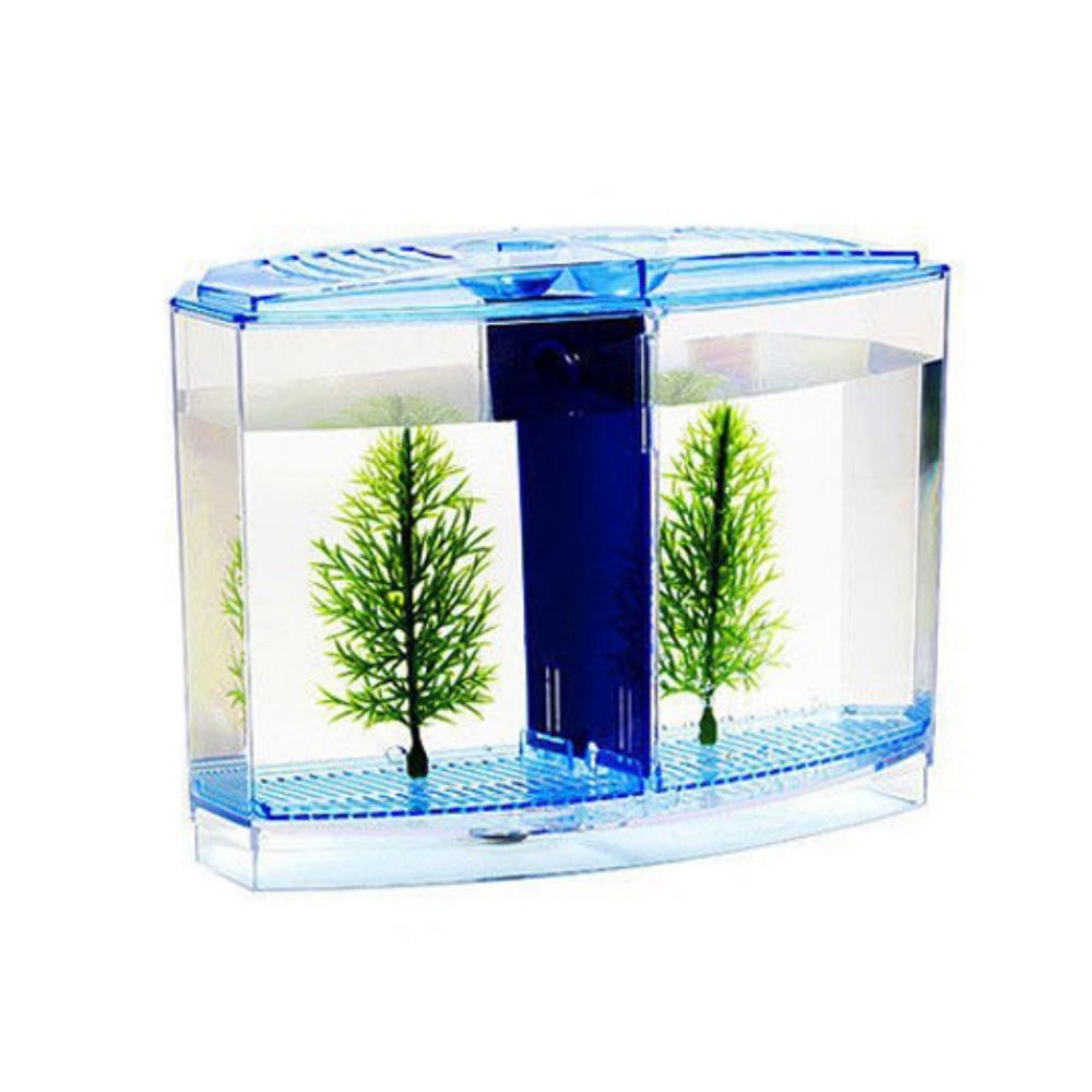 Transparent Betta Fish Tank, D - Aquarium Fish Betta 评论和价格