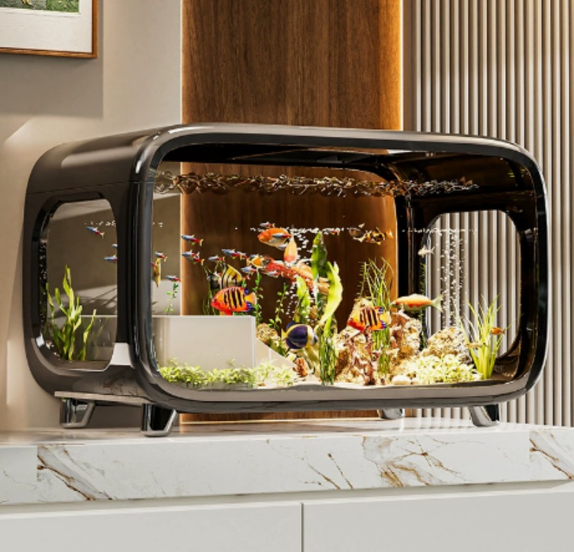 Creative Transparent Ecologica - Fish Aquarium Home 评论和价格