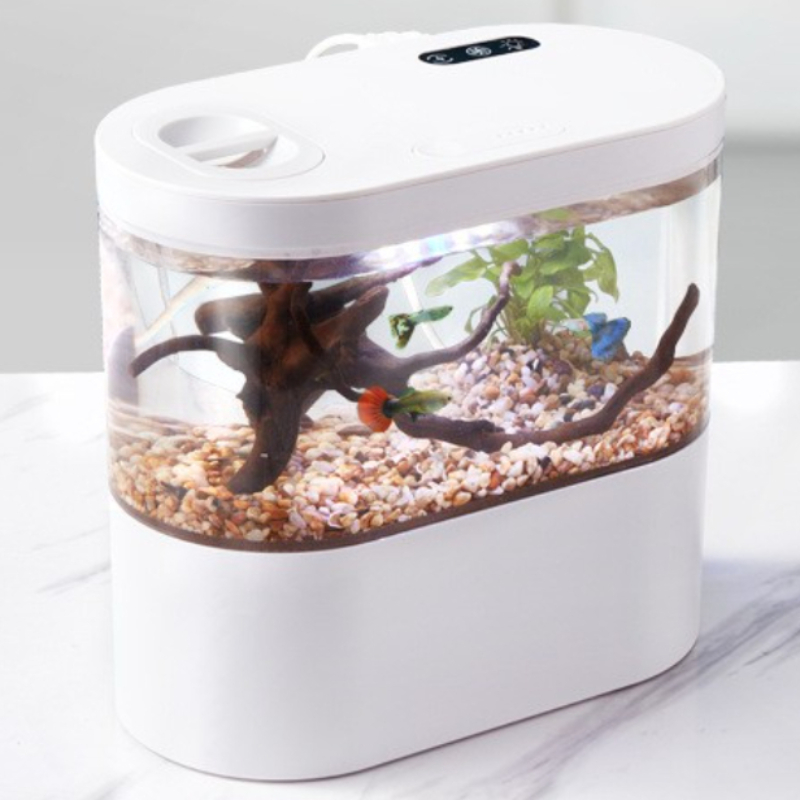 Creative Mini Desktop Fish Tan - Aquarium Fish Betta 评论和价格