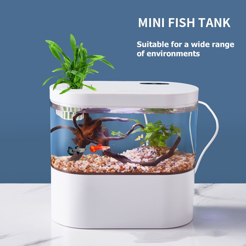 Creative Mini Desktop Fish Tan - Aquarium Fish Betta 评论和价格