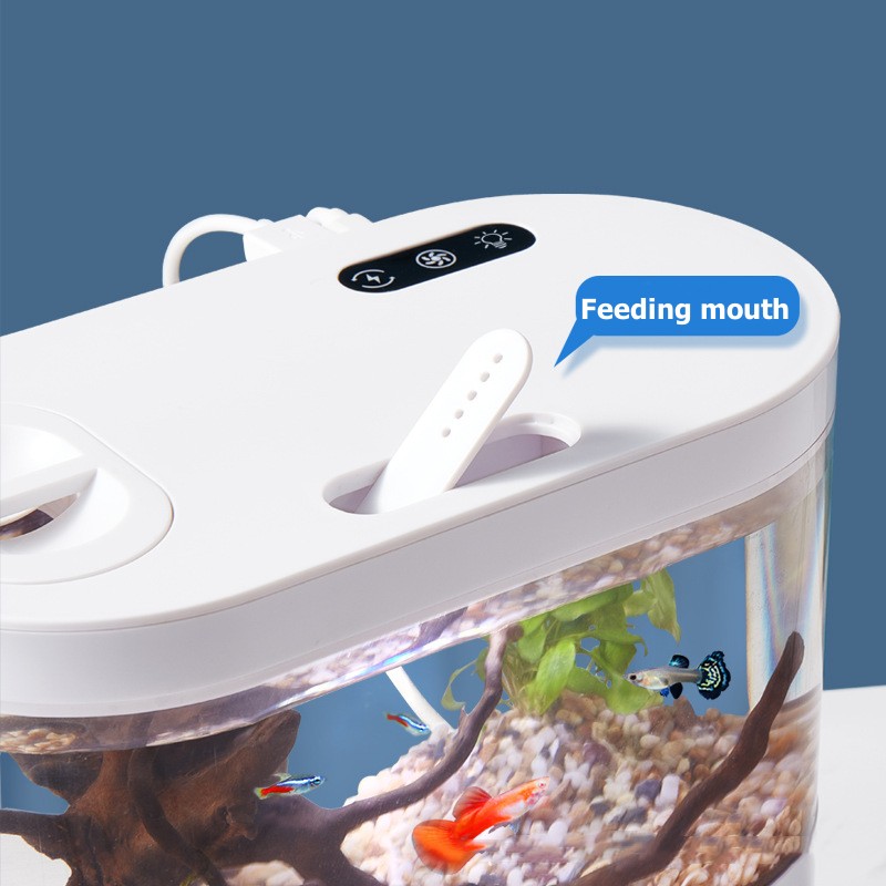 Creative Mini Desktop Fish Tan - Aquarium Fish Betta 评论和价格