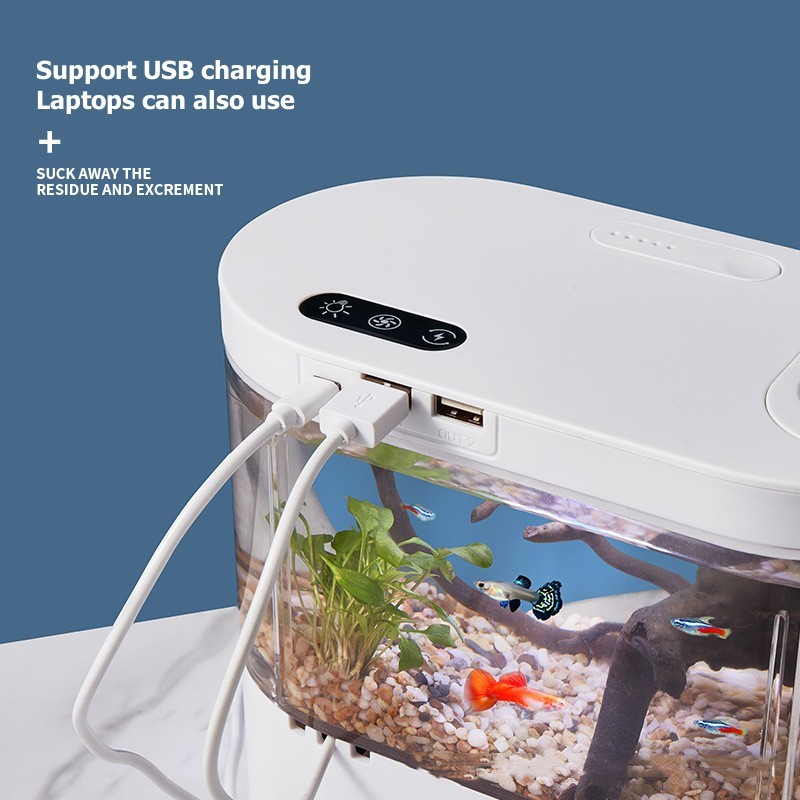 Creative Mini Desktop Fish Tan - Aquarium Fish Betta 评论和价格